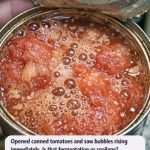 Opened canned tomatoes and saw bubbles rising immediately. Is that fermentation or spoilage