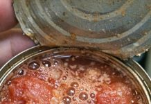 Opened canned tomatoes and saw bubbles rising immediately. Is that fermentation or spoilage