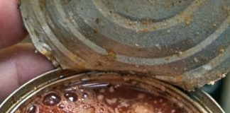 Opened canned tomatoes and saw bubbles rising immediately. Is that fermentation or spoilage