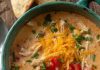 cheesy rotel chicken soup