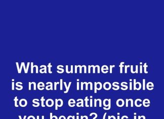 What summer fruit is nearly impossible to stop eating once you begin?