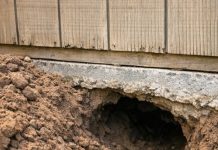 Something Is Digging a Huge Tunnel Under My Garden Shed — What Should I Do?