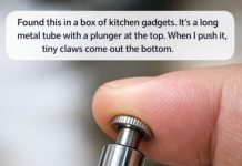 Found this in a box of kitchen gadgets. It’s a long metal tube with a plunger at the top. When I push it, tiny claws come out the bottom.