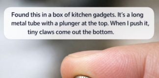 Found this in a box of kitchen gadgets. It’s a long metal tube with a plunger at the top. When I push it, tiny claws come out the bottom.