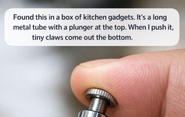 Found this in a box of kitchen gadgets. It’s a long metal tube with a plunger at the top. When I push it, tiny claws come out the bottom.