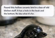 Found this hollow ceramic bird in a box of old kitchen stuff. It has a hole in the beak and the bottom. No idea what it’s for.