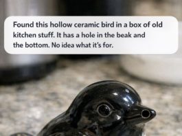 Found this hollow ceramic bird in a box of old kitchen stuff. It has a hole in the beak and the bottom. No idea what it’s for.