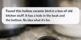 Found this hollow ceramic bird in a box of old kitchen stuff. It has a hole in the beak and the bottom. No idea what it’s for.