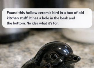 Found this hollow ceramic bird in a box of old kitchen stuff. It has a hole in the beak and the bottom. No idea what it’s for.