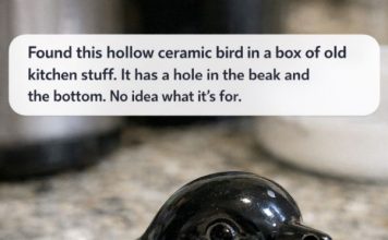 Found this hollow ceramic bird in a box of old kitchen stuff. It has a hole in the beak and the bottom. No idea what it’s for.