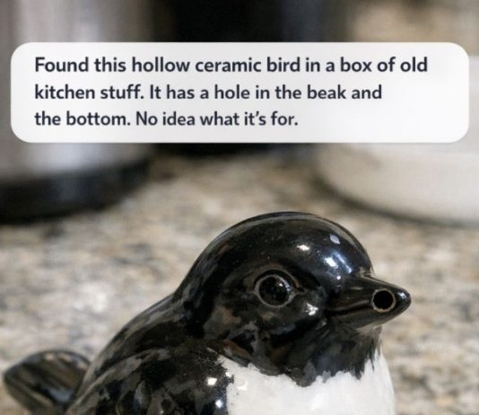 Found this hollow ceramic bird in a box of old kitchen stuff. It has a hole in the beak and the bottom. No idea what it’s for.