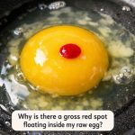 Why is there a gross red spot floating inside my raw egg?