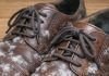 I pulled out shoes I haven’t worn all winter and found white fuzzy patches growing on the leather. What is this?