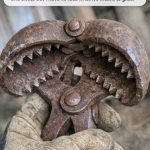 Found During a Barn Cleanup: This Heavy Iron Tool With Jagged Teeth Has a Fascinating Past