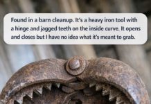 Found During a Barn Cleanup: This Heavy Iron Tool With Jagged Teeth Has a Fascinating Past