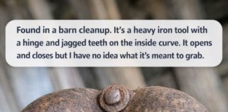 Found During a Barn Cleanup: This Heavy Iron Tool With Jagged Teeth Has a Fascinating Past