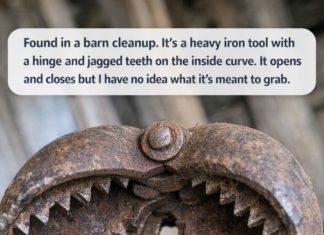 Found During a Barn Cleanup: This Heavy Iron Tool With Jagged Teeth Has a Fascinating Past