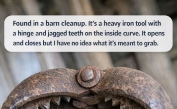 Found During a Barn Cleanup: This Heavy Iron Tool With Jagged Teeth Has a Fascinating Past