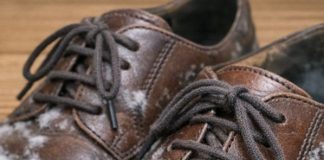 I pulled out shoes I haven’t worn all winter and found white fuzzy patches growing on the leather. What is this?