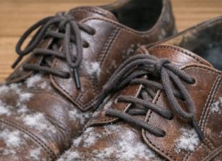 I pulled out shoes I haven’t worn all winter and found white fuzzy patches growing on the leather. What is this?