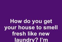 How to Make Your House Smell Fresh Like Clean Laundry