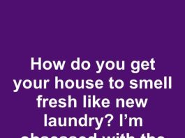 How to Make Your House Smell Fresh Like Clean Laundry