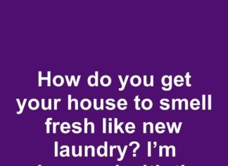 How to Make Your House Smell Fresh Like Clean Laundry