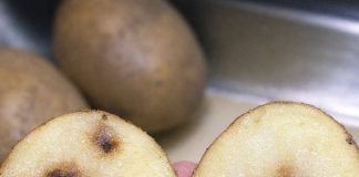 My potatoes have brown internal spots before cooking — are they rotten?