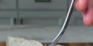 Animal Style Fries with Bacon