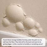 Found these strange bubbles forming under the paint on my wall near the floor. They feel soft to the touch and seem to be getting bigger—is this a reaction to humidity or something worse?