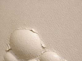 Found these strange bubbles forming under the paint on my wall near the floor. They feel soft to the touch and seem to be getting bigger—is this a reaction to humidity or something worse?