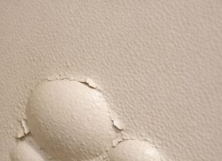 Found these strange bubbles forming under the paint on my wall near the floor. They feel soft to the touch and seem to be getting bigger—is this a reaction to humidity or something worse?