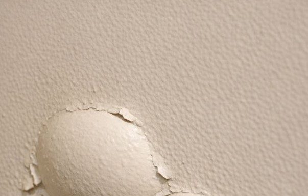 Found these strange bubbles forming under the paint on my wall near the floor. They feel soft to the touch and seem to be getting bigger—is this a reaction to humidity or something worse?