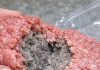 I just bought this ground beef and the inside is completely grey — did the store scam me?