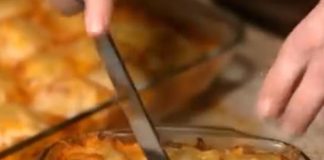 Chicken Broccoli Alfredo Stuffed Shells