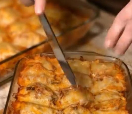 Chicken Broccoli Alfredo Stuffed Shells