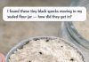 I found these tiny black specks moving in my sealed flour jar — how did they get in?