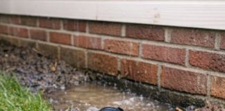 My Neighbor Redirected Their Gutter Toward My House and Now My Basement Floods – What Should I Do?