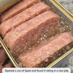 Opened a can of Spam and found it sitting in a clear jelly. Is that normal or did it go bad