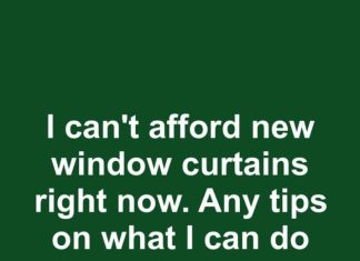 I Can’t Afford New Window Curtains Right Now — What Cheap Options Still Look Good?