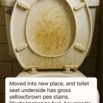 How to Remove Yellow-Brown Stains from a Plastic Toilet Seat (Before You Replace It)
