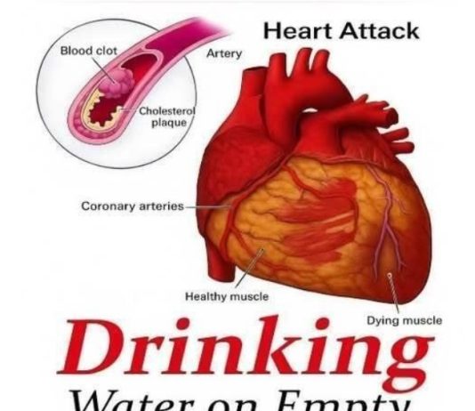 Benefits of Drinking Water on an Empty Stomach: What Science Really Says