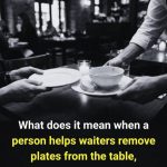 Introvert or Extrovert When Someone Helps Waiters Clear Plates? Psychology Explains