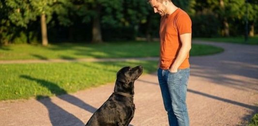 Why Dogs Sniff Certain Areas! The Surprising Reason Behind This Natural Behavior!