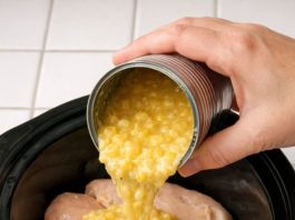 Amish Chicken Corn Noodle