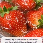 I Soaked My Strawberries in Salt Water