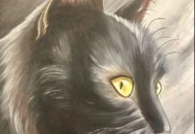 Nostradamus predicted that those who have a cat at home will…