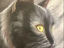 Nostradamus predicted that those who have a cat at home will…