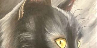 Nostradamus predicted that those who have a cat at home will…