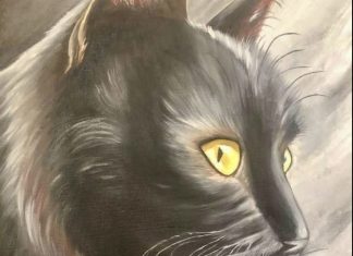 Nostradamus predicted that those who have a cat at home will…